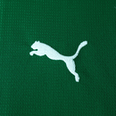 Camisas Palmeiras Home 2026/27 - Versão Torcedor - Brazil Guetto Store